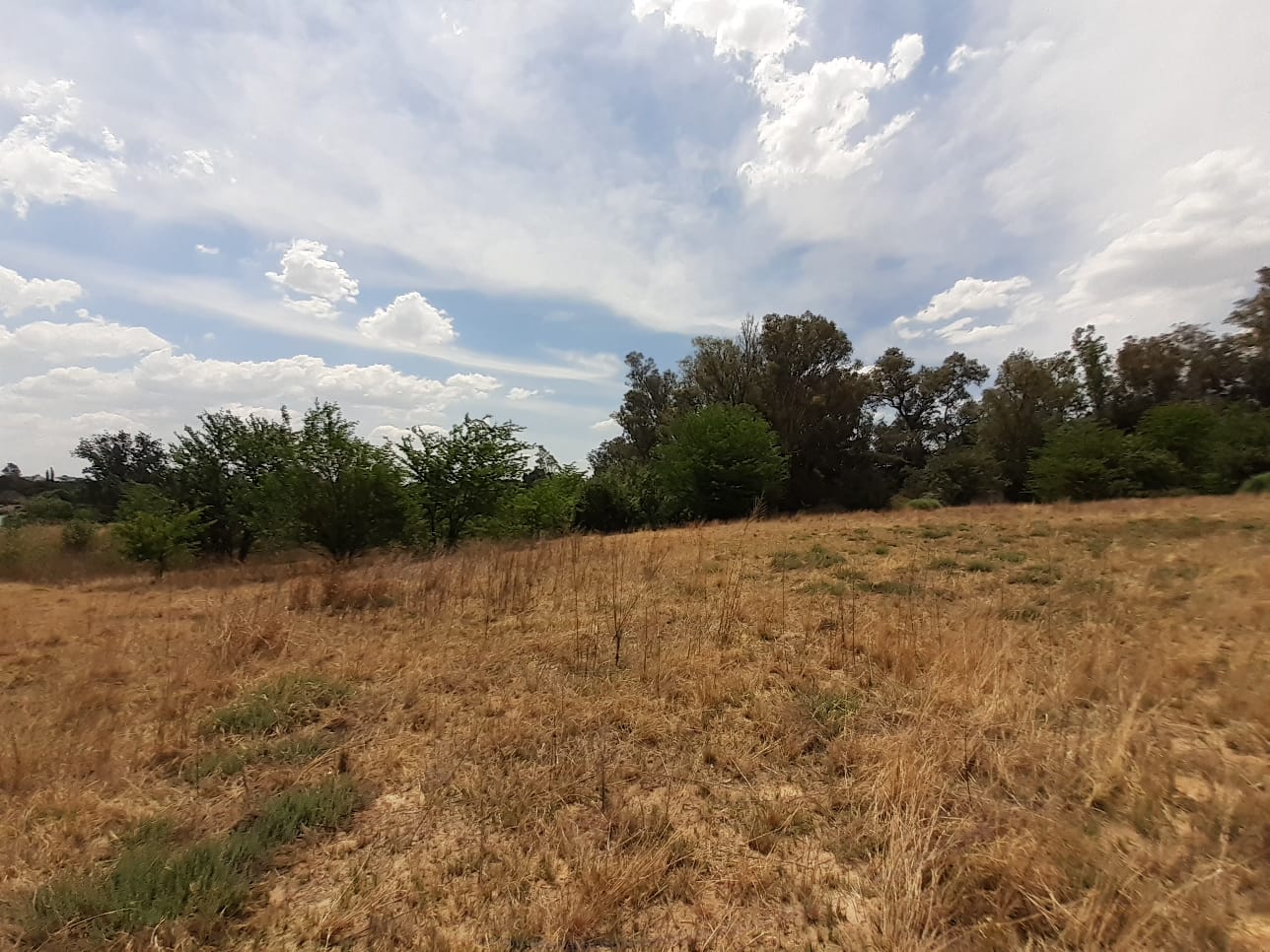 Property 1834483 - Image 17