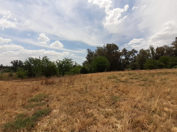 Property 1834483 - Image 17