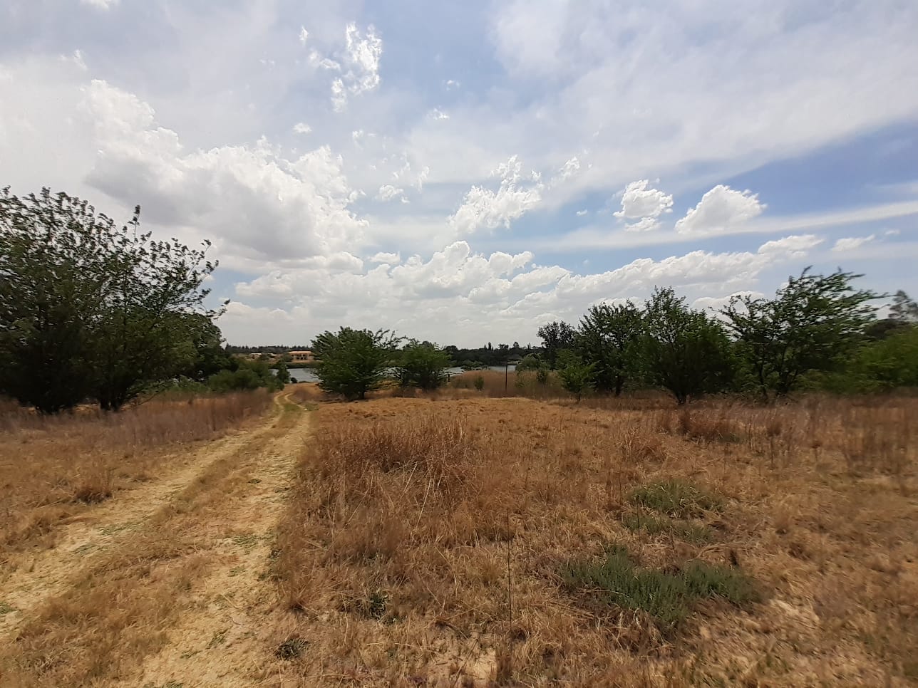 Property 1834483 - Image 19