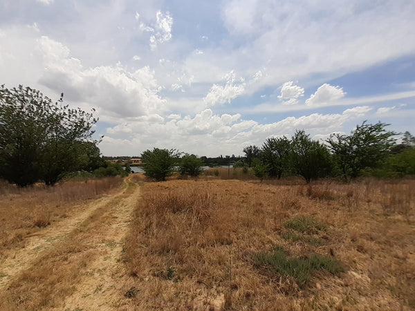 Property 1834483 - Image 19
