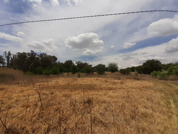 Property 1834483 - Image 2