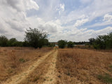 Property 1834483 - Image 20