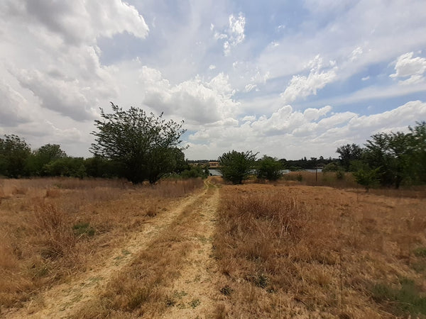 Property 1834483 - Image 20