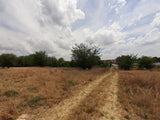 Property 1834483 - Image 21