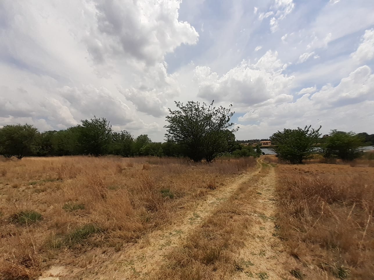 Property 1834483 - Image 21