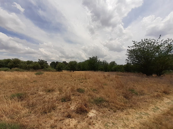 Property 1834483 - Image 22