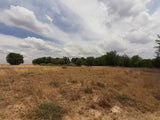 Property 1834483 - Image 23