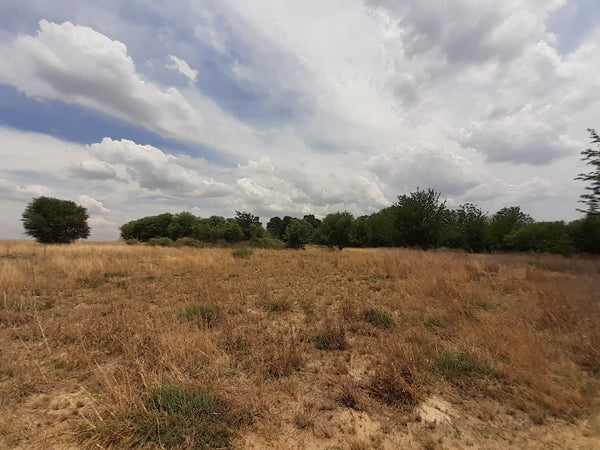 Property 1834483 - Image 23