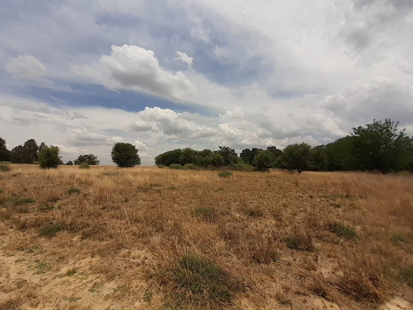 Property 1834483 - Image 24