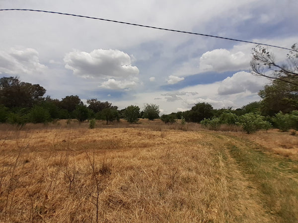 Property 1834483 - Image 3