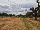 Property 1834483 - Image 4