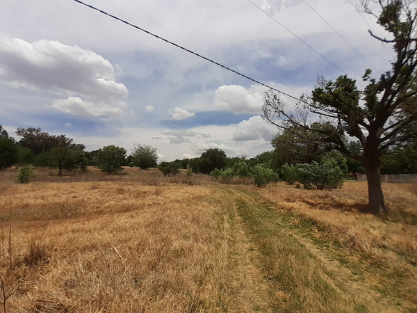 Property 1834483 - Image 4