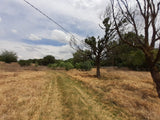 Property 1834483 - Image 5