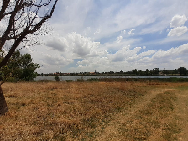 Property 1834483 - Image 7
