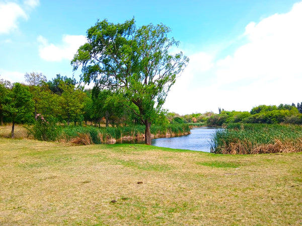 Property 1857299 - Image 29