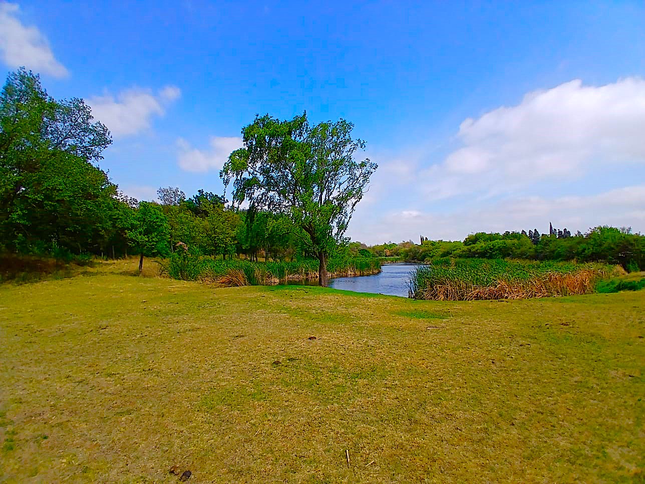 Property 1857299 - Image 30