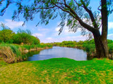 Property 1857299 - Image 32