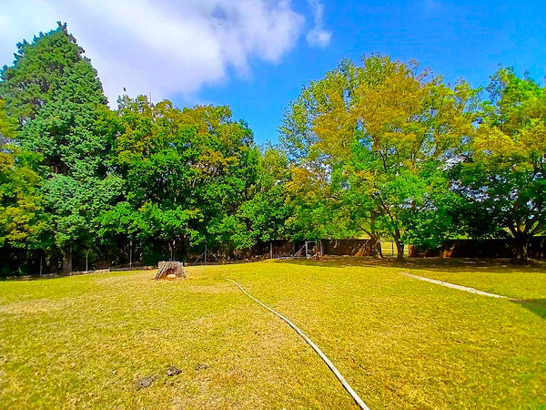 Property 1857299 - Image 33