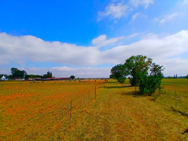 Property 1857299 - Image 34