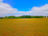 Property 1857299 - Image 35