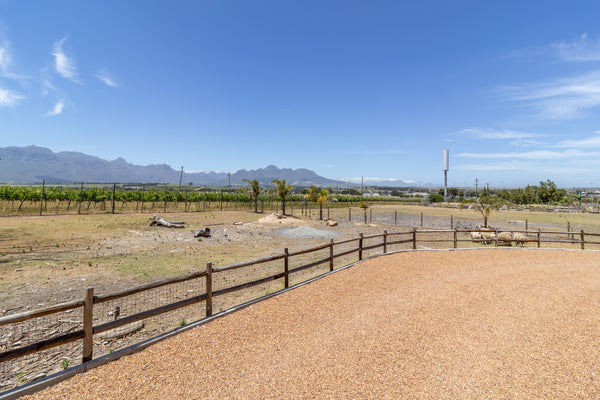 Property 1860768 - Image 28