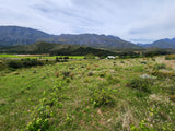 Property 192338 - Image 10
