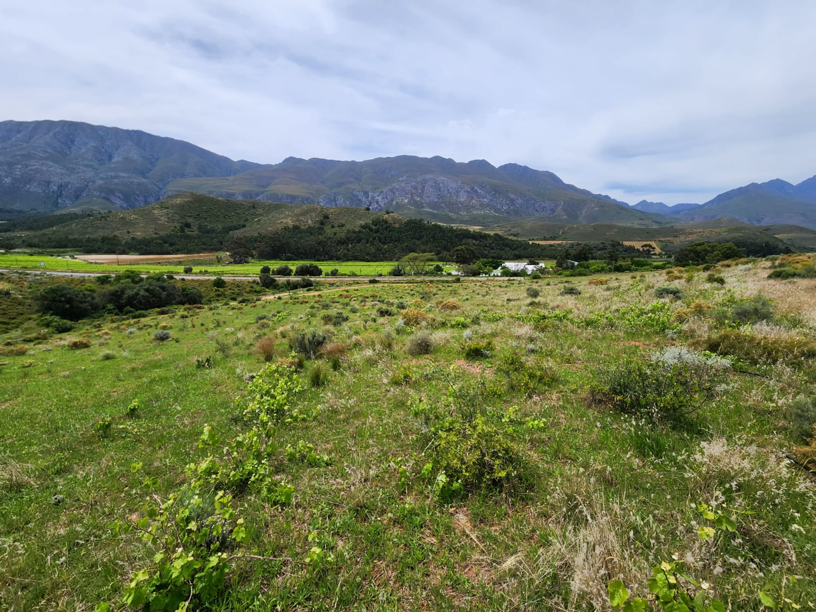 Property 192338 - Image 10