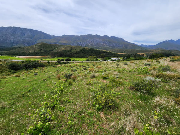 Property 192338 - Image 10