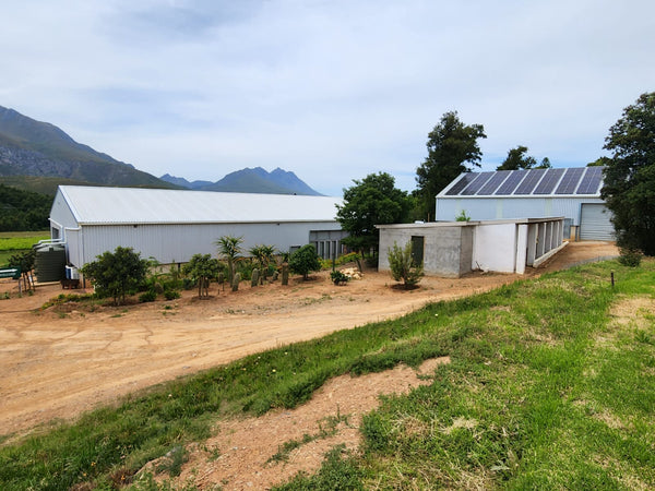 Property 192338 - Image 12