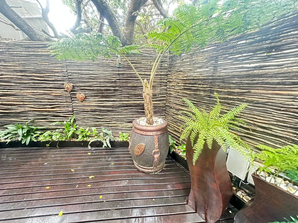 Property 2148245 - Image 21