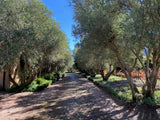 Property 2180927 - Image 19