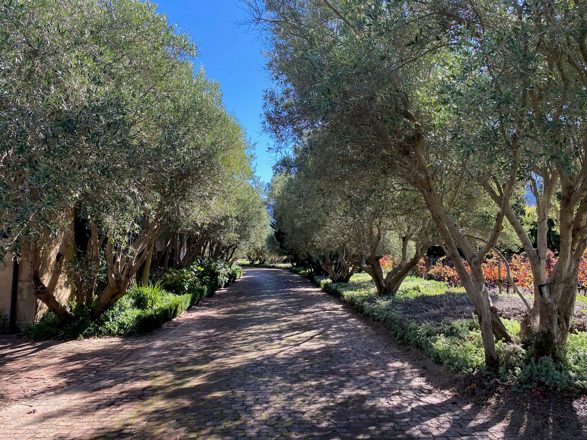 Property 2180927 - Image 19