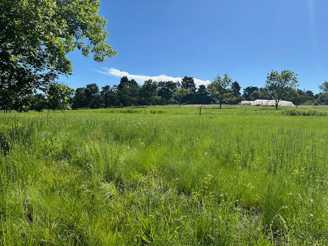 Property 2182653 - Image 8