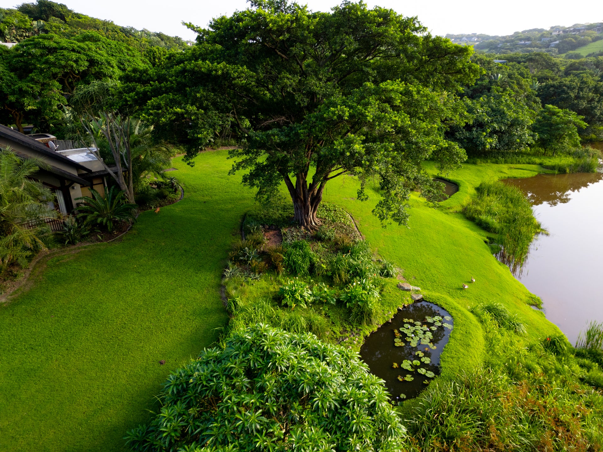 Property 2207201 - Image 16