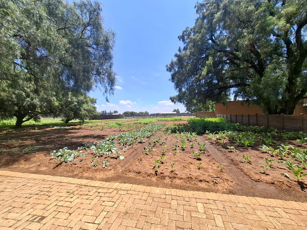 Property 2245961 - Image 55