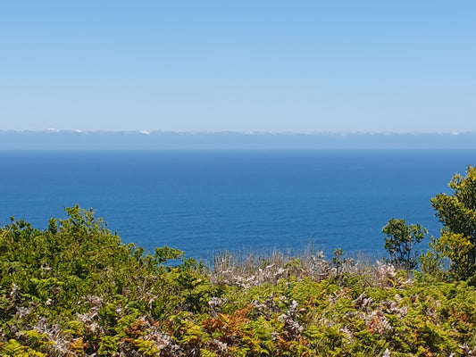 Property 2248100 - Image 1