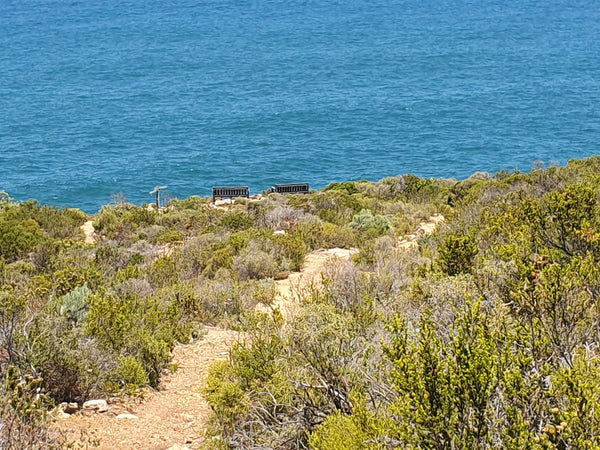 Property 2248100 - Image 11