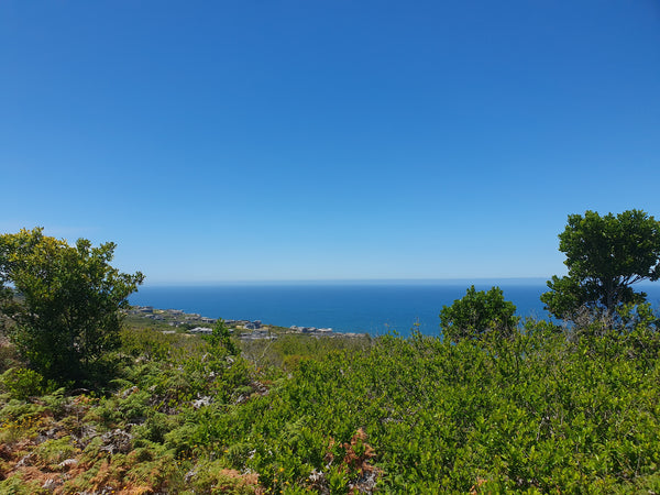 Property 2248100 - Image 6