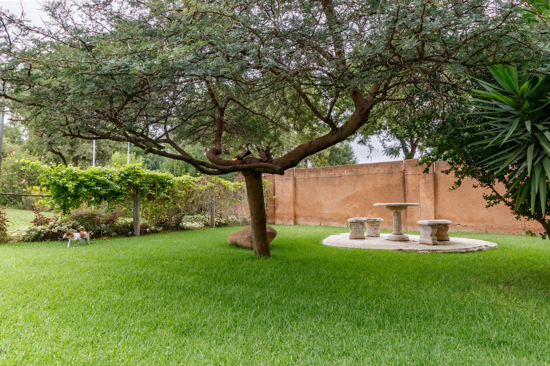 Property 2280938 - Image 31
