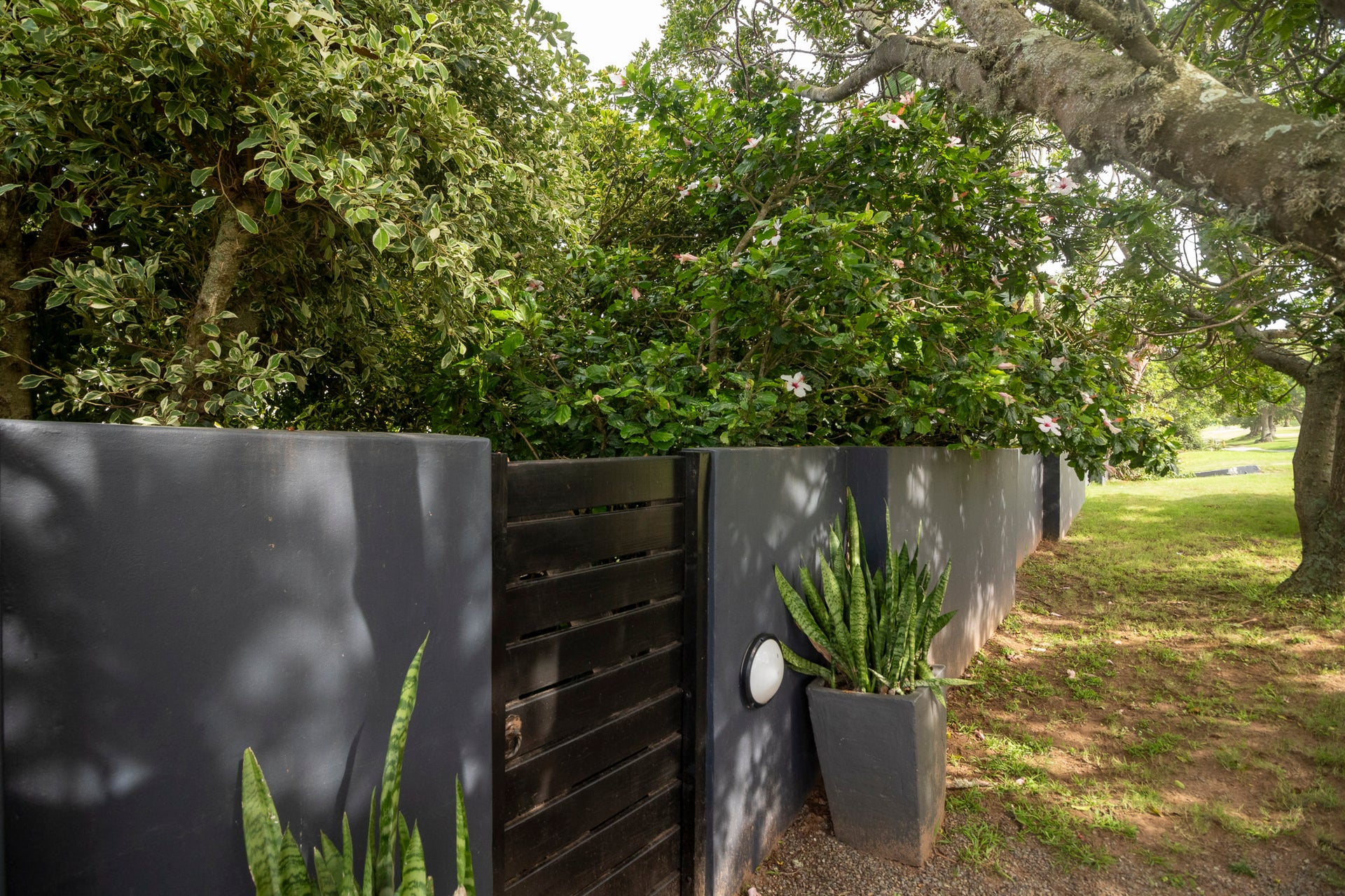 Property 2337031 - Image 63