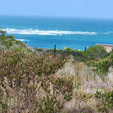 Property 2339459 - Image 1