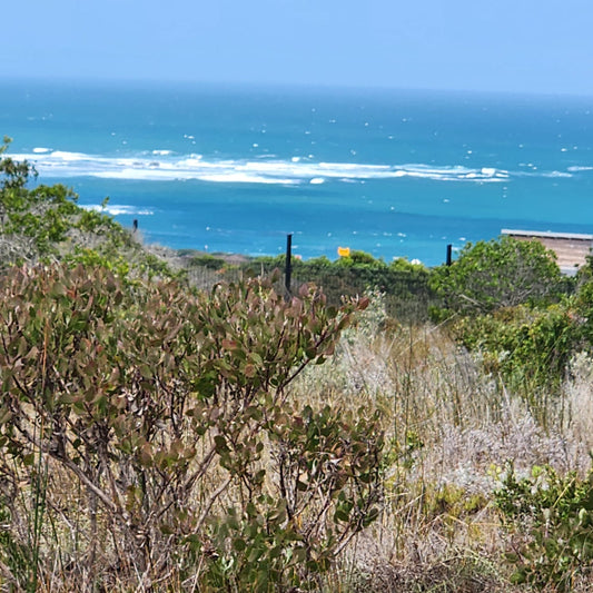 Property 2339459 - Image 1
