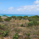 Property 2339459 - Image 2
