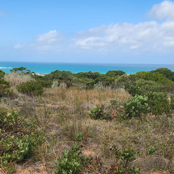 Property 2339459 - Image 2