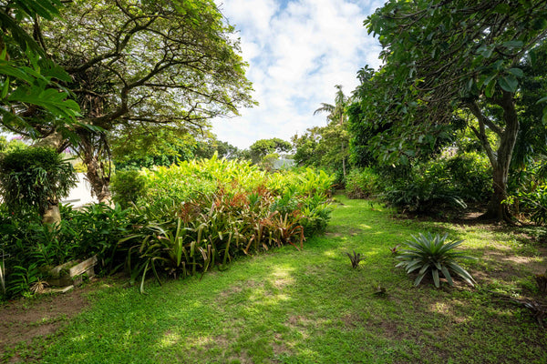 Property 2344421 - Image 47