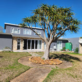 Property 2367471 - Image 1