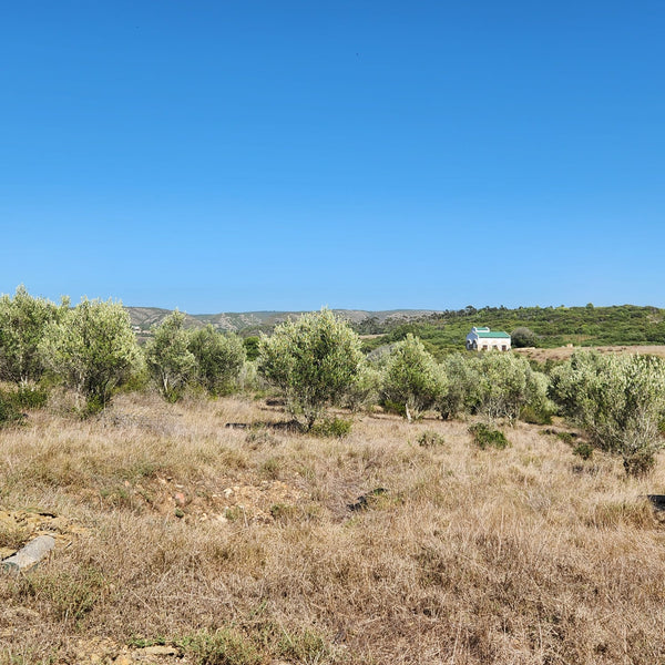 Property 2367471 - Image 31