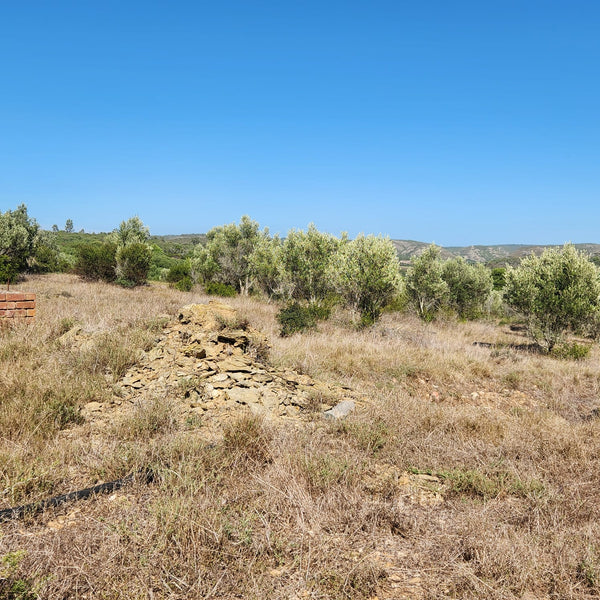 Property 2367471 - Image 32