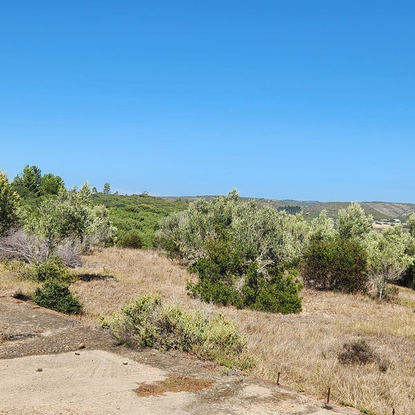 Property 2367471 - Image 34