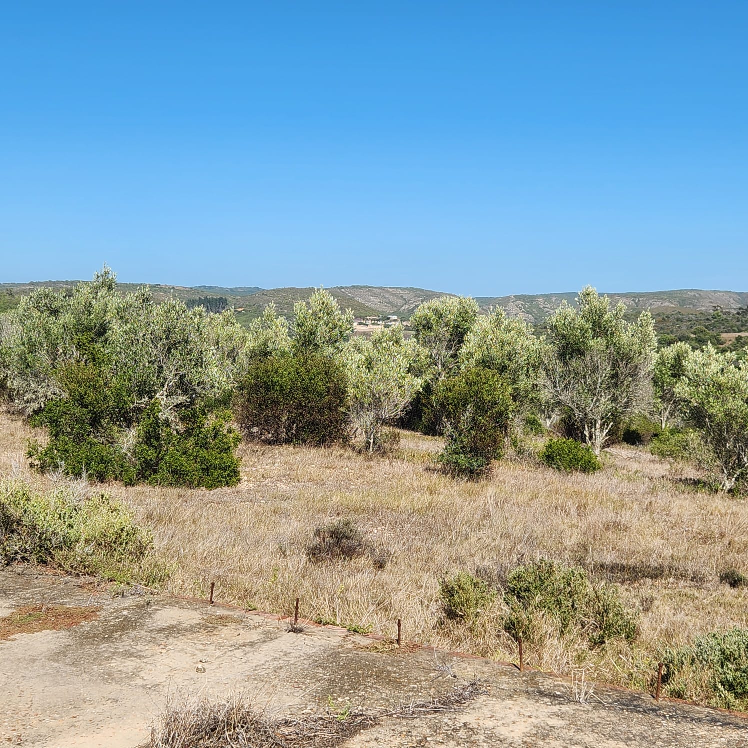 Property 2367471 - Image 35